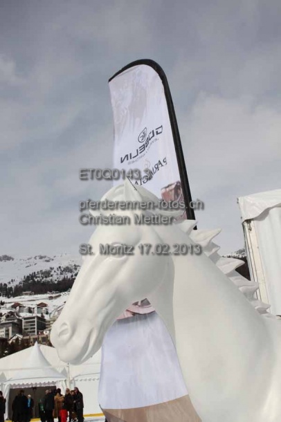 ET0Q0143.3 prot